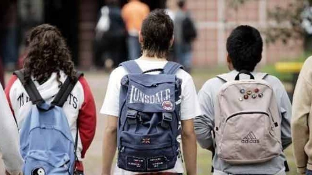 Formazione classi prime A.S.2023-2024 della Scuola Primaria e della Scuola Secondaria di Primo Grado